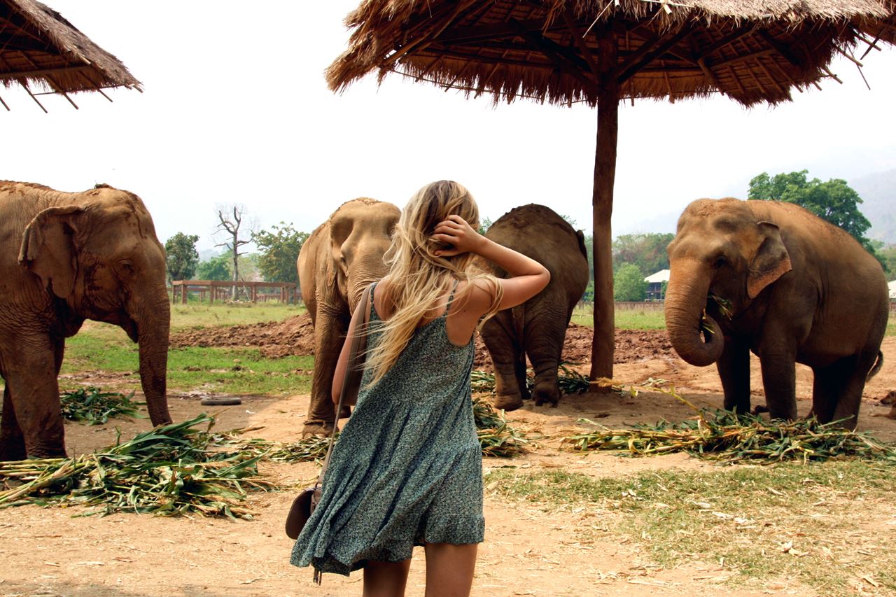 Modeblog-Reiseblog-German-Travel-Blog-Thailand-Chiang-Mai-Elefanten-Backpacking-Route-Kosten-Vorbereitung-